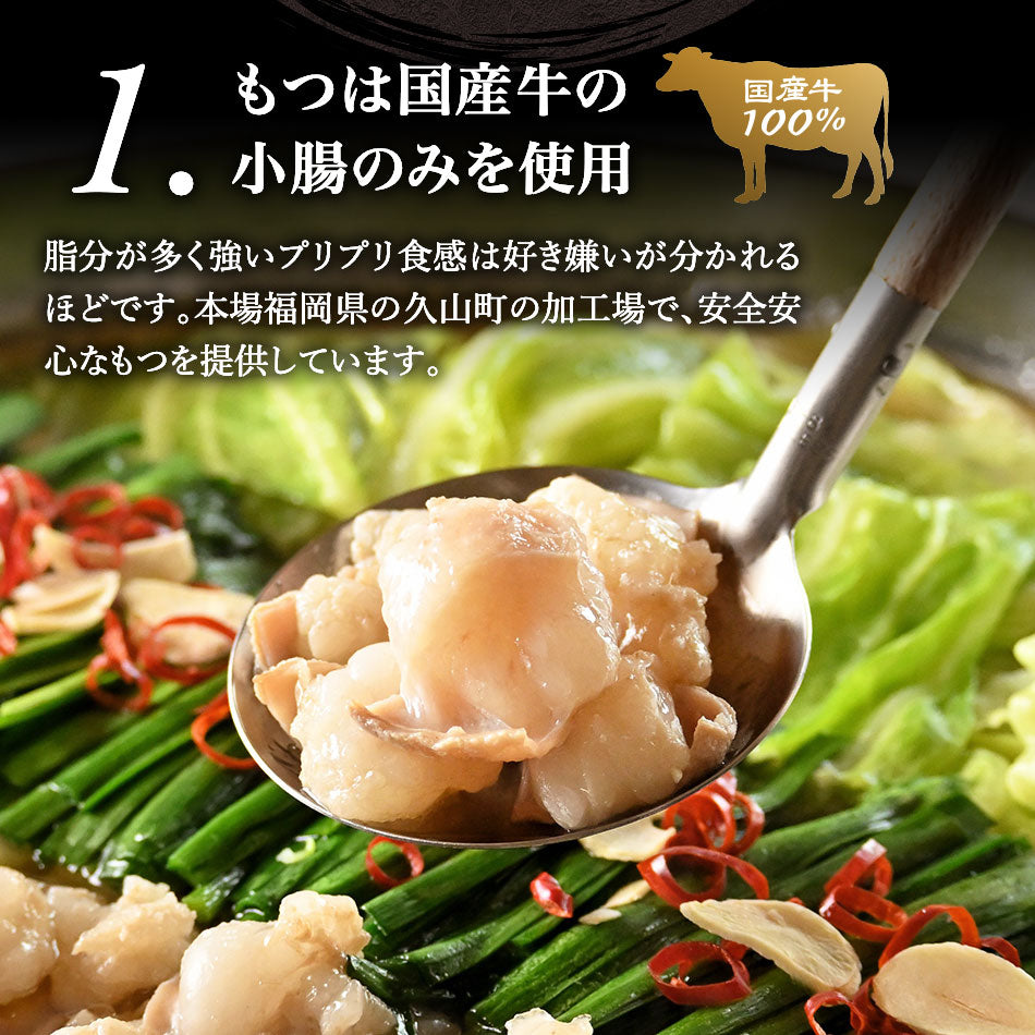 本場博多 あご出汁入りもつ鍋セット(醤油味)お試しセット