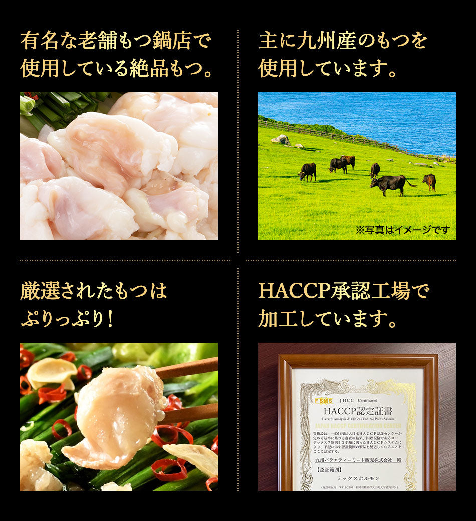 本場博多 あご出汁入りもつ鍋セット(醤油味)お試しセット【お一人様1セットまで】