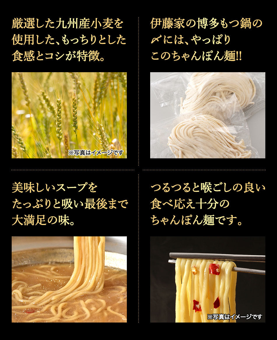 本場博多 あご出汁入りもつ鍋セット(醤油味)お試しセット【お一人様1セットまで】