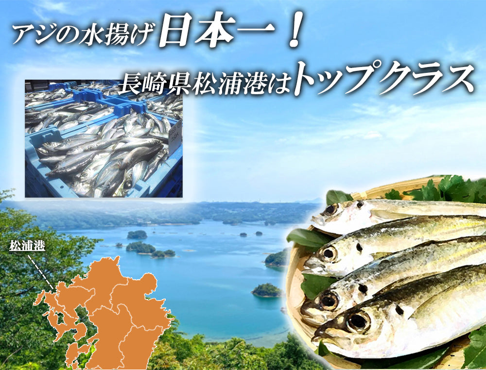 長崎県 松浦産 真アジフライ (アジフライフィーレ) 1P/500g(14枚入り)