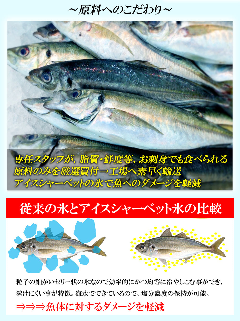 長崎県 松浦産 真アジフライ (アジフライフィーレ) 1P/500g(14枚入り)