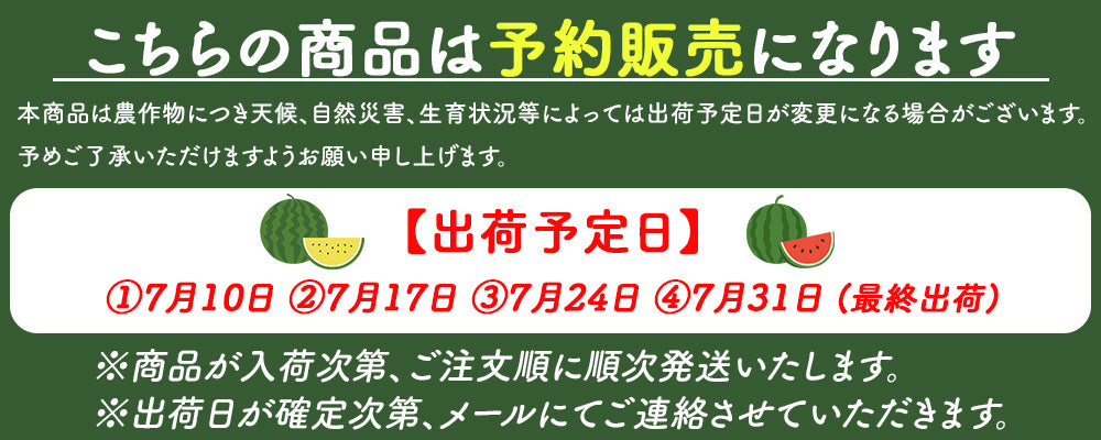 【予約販売中】日田尺玉西瓜 うわさの黒スイカ 大玉 秀品 2L~3L(約7~9kg)