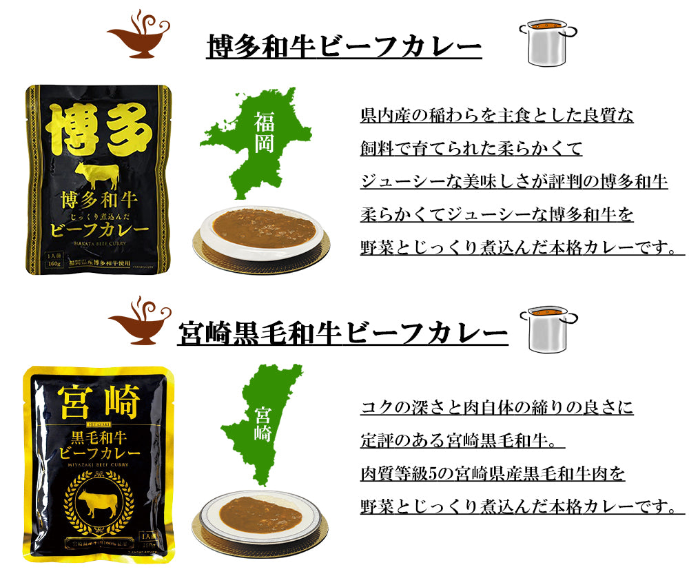 九州沖縄ご当地レトルトカレー8食セット
