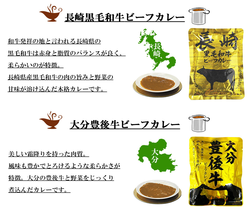 九州沖縄ご当地レトルトカレー8食セット
