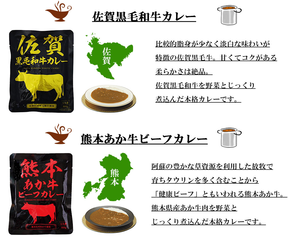 九州沖縄ご当地レトルトカレー8食セット