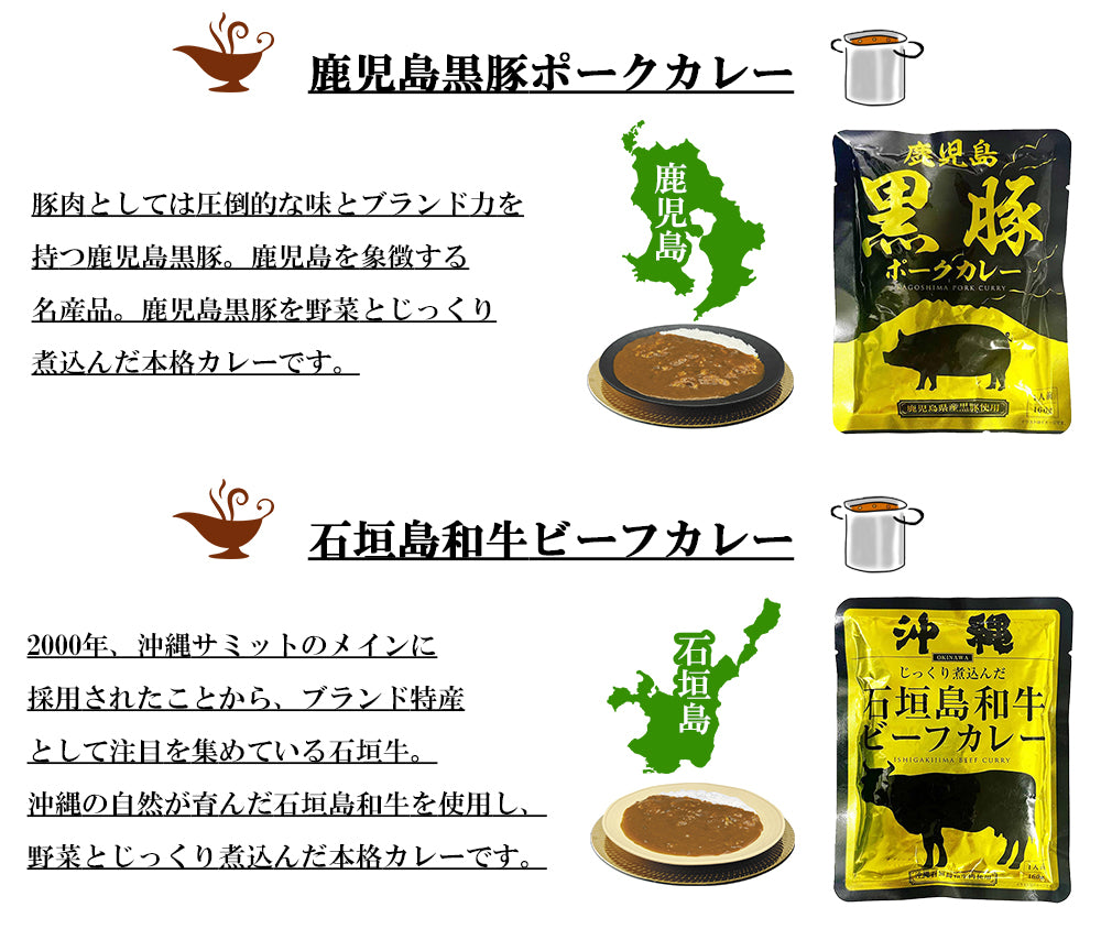 九州沖縄ご当地レトルトカレー8食セット