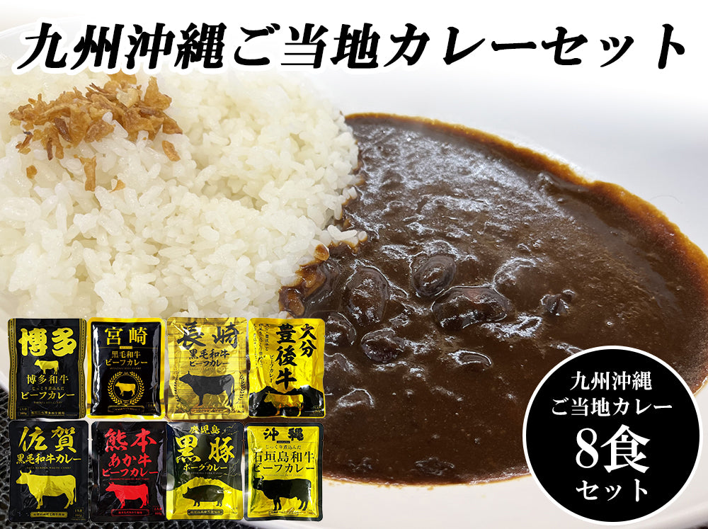 九州沖縄ご当地レトルトカレー8食セット