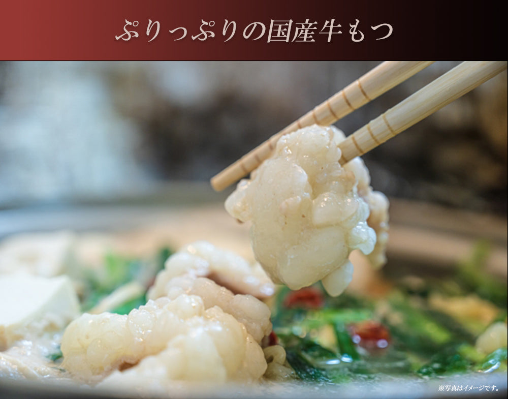 本場博多 あご出汁入りもつ鍋セット(旨辛スープ)