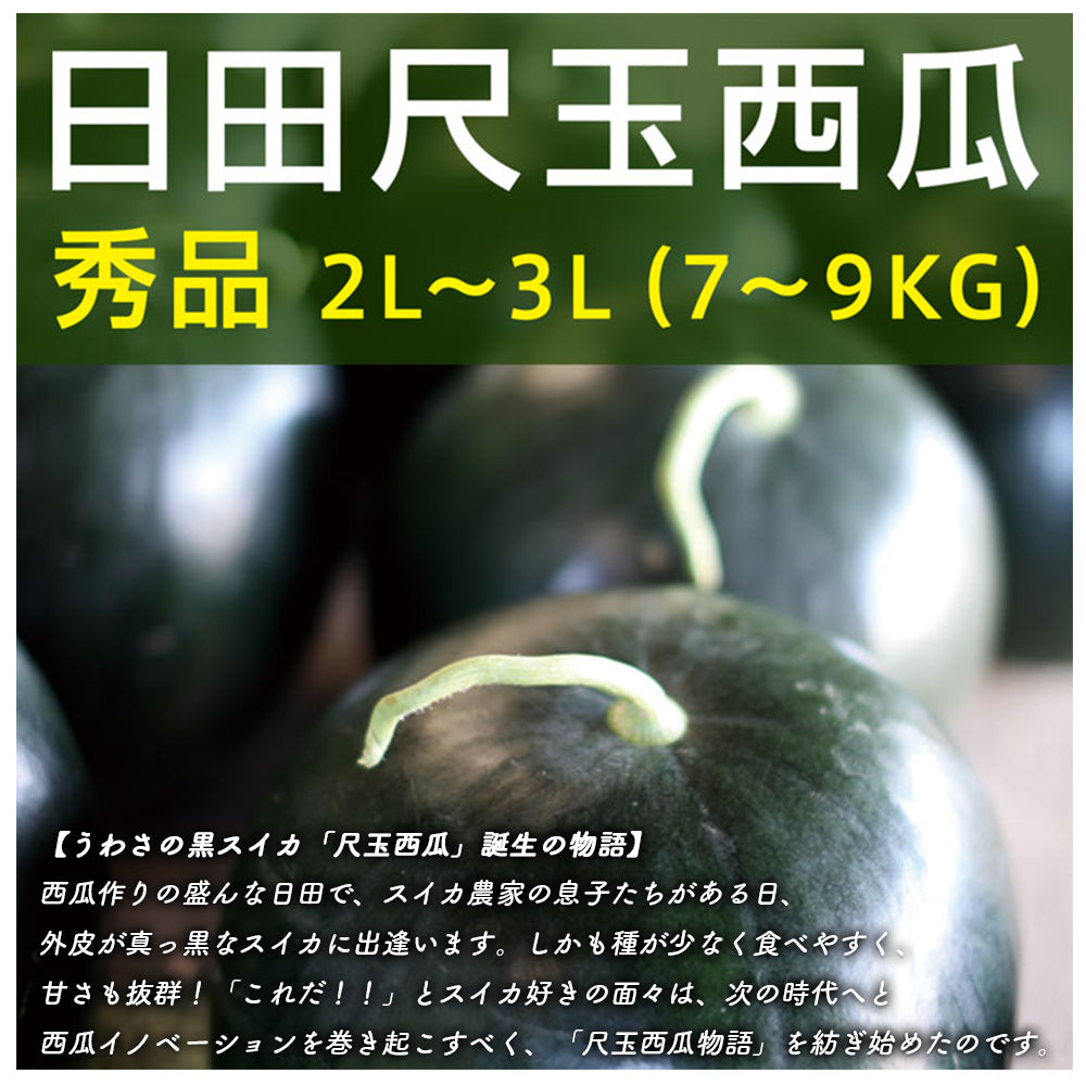日田尺玉西瓜 うわさの黒スイカ 大玉 秀品 2L~3L(約7~9kg)
