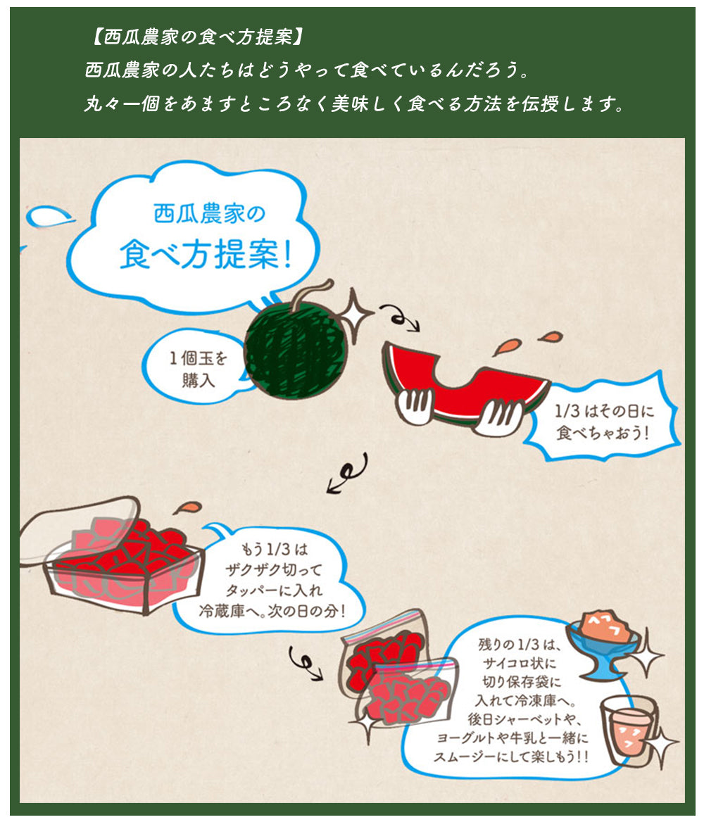 日田尺玉西瓜 うわさの黒スイカ 大玉 秀品 2L~3L(約7~9kg)