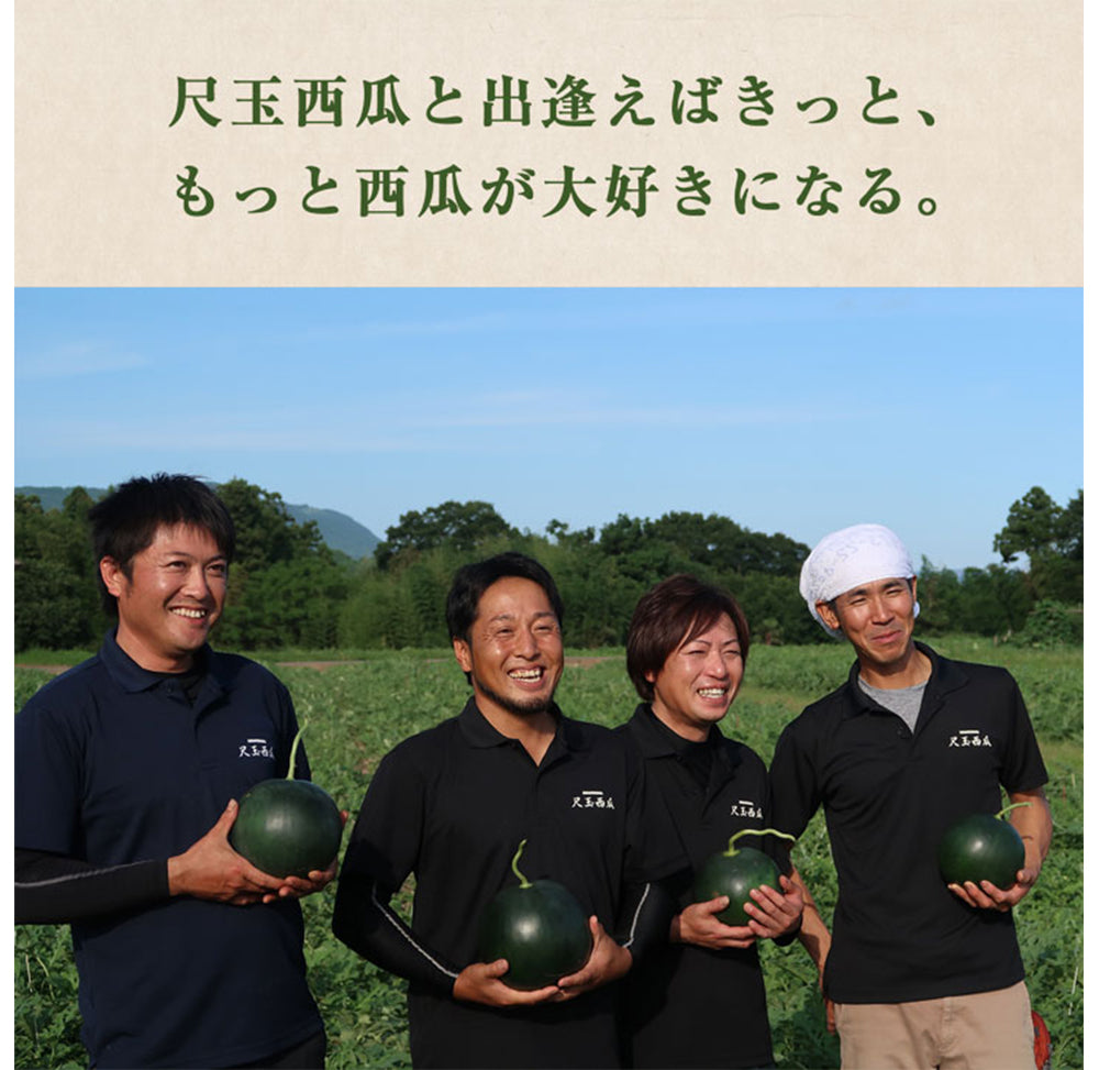 日田尺玉西瓜 うわさの黒スイカ 大玉 秀品 2L~3L(約7~9kg)