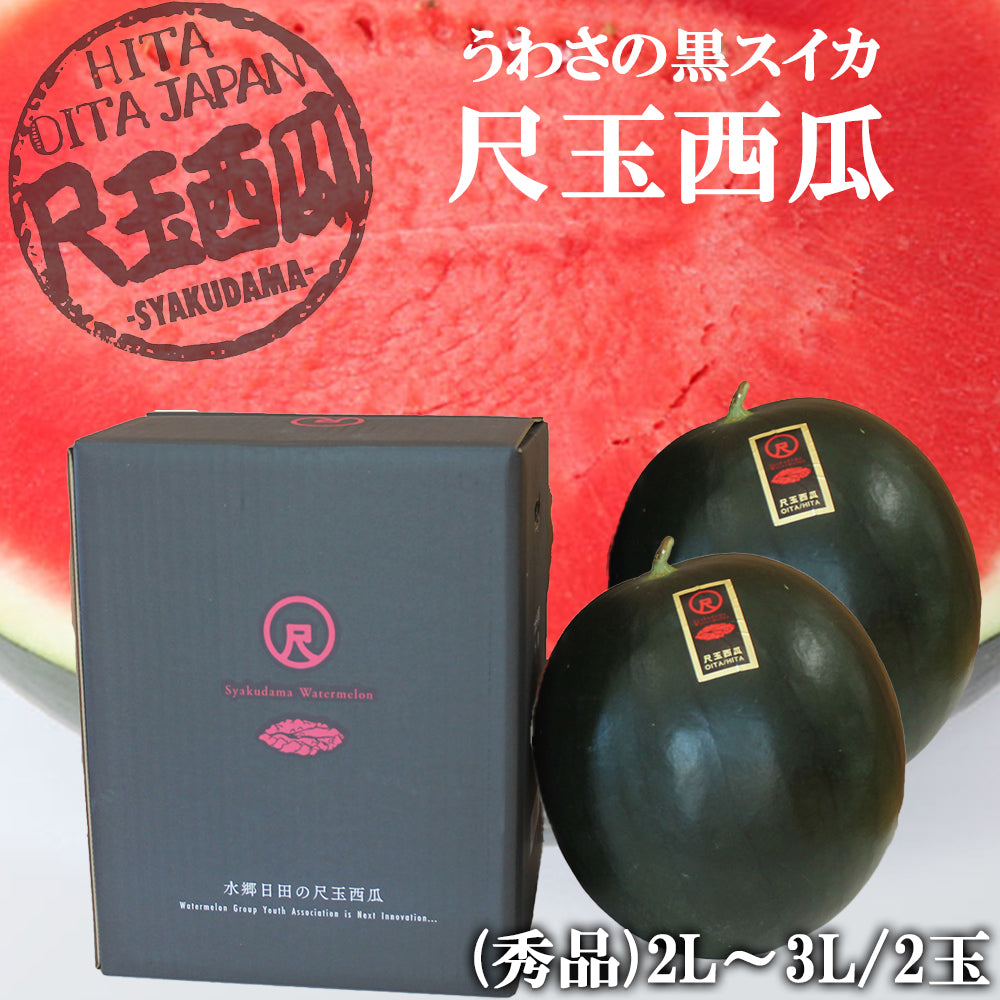 【予約販売中】日田尺玉西瓜 うわさの黒スイカ 大玉 秀品 2L~3L(約7~9kg)RTD-rf0015