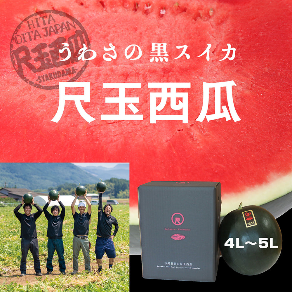 日田尺玉西瓜 うわさの黒スイカ 特大玉 極 4L~5L(約10~12kg)
