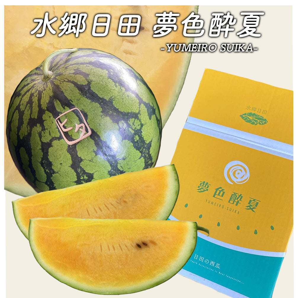 【予約販売中】日田西瓜 夢色酔夏 大玉 秀品 3L(約8~9.5kg)RTD-rf0018