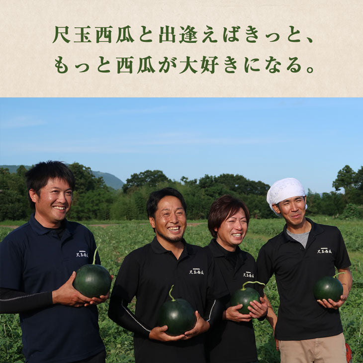 日田尺玉西瓜 | 送料無料