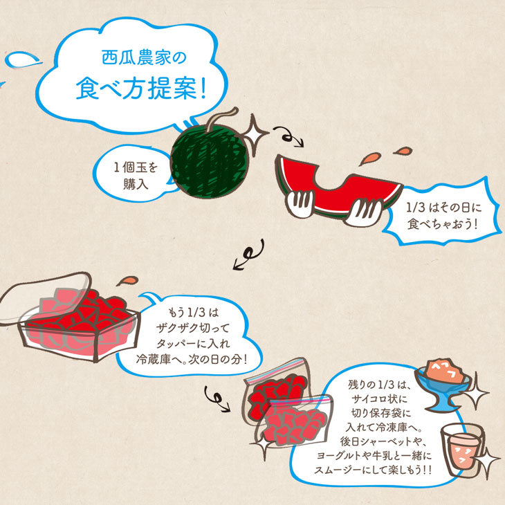 日田尺玉西瓜 | 送料無料