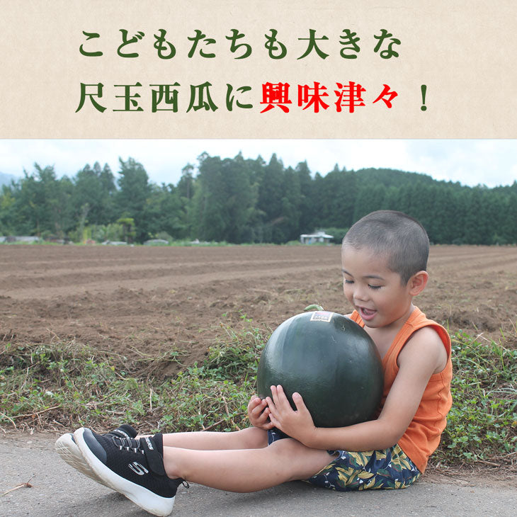 日田尺玉西瓜 | 送料無料