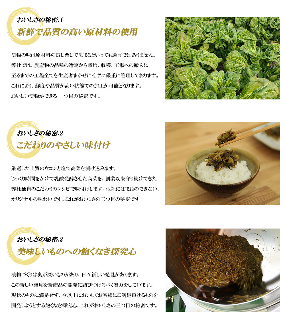九州名菜 からし高菜の油炒め(国産) 120g×3Pセット