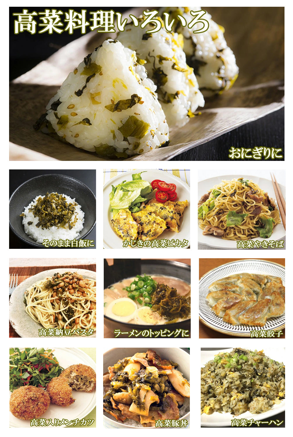 九州名菜 高菜5種セット(国産)