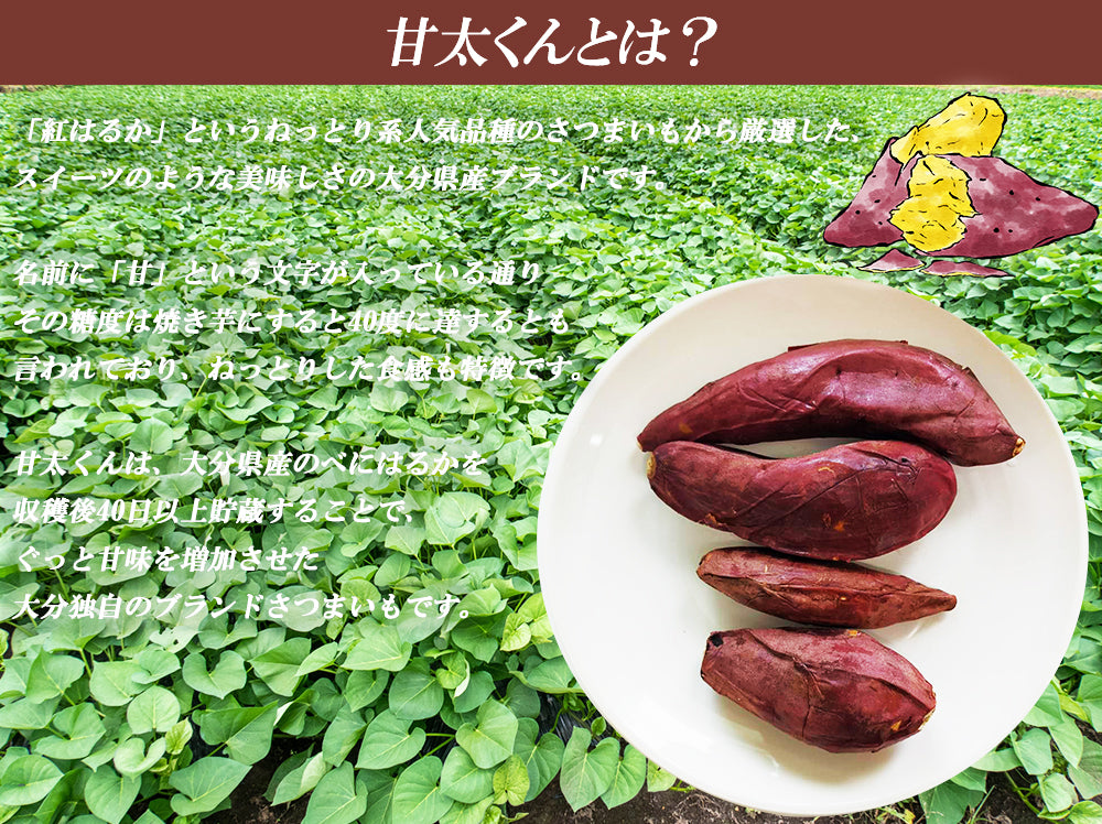 ひみつの黄蜜芋 1.9㎏ 冷凍焼き芋 甘太くん 大分県産