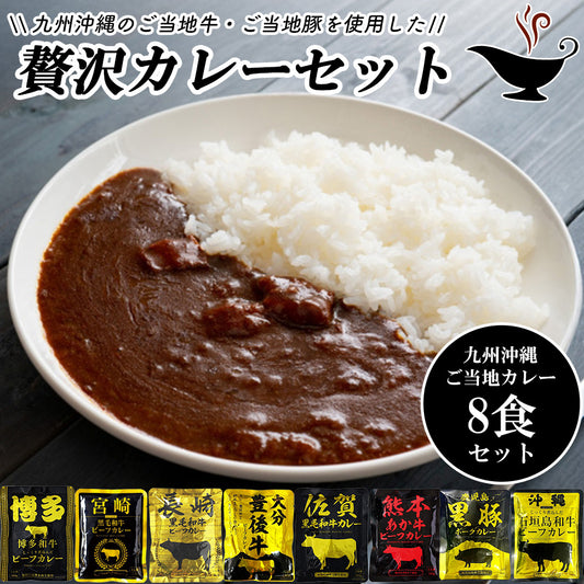 九州沖縄ご当地レトルトカレー8食セット