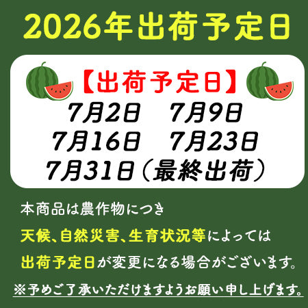 【予約7/2より順次出荷】羅皇ザ・スウィート（秀品）3Lサイズ/1玉 ※8～9.5kg JAおおいた 日田産 RTD-rf0031