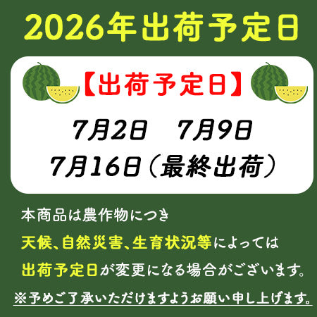 【予約販売中】日田西瓜 夢色酔夏 大玉 秀品 3L（約8～9.5kg）RTD-rf0018