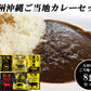九州沖縄ご当地レトルトカレー8食セット