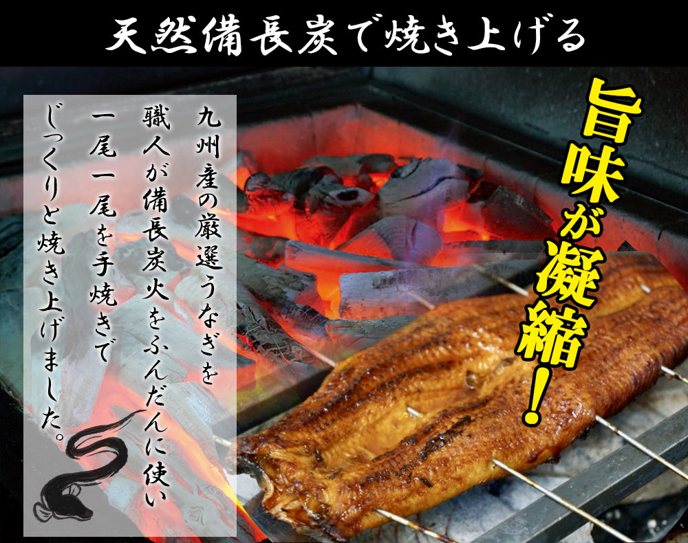 備長炭手焼き うなぎ蒲焼 鹿児島大隅半島産 (タレ付き)