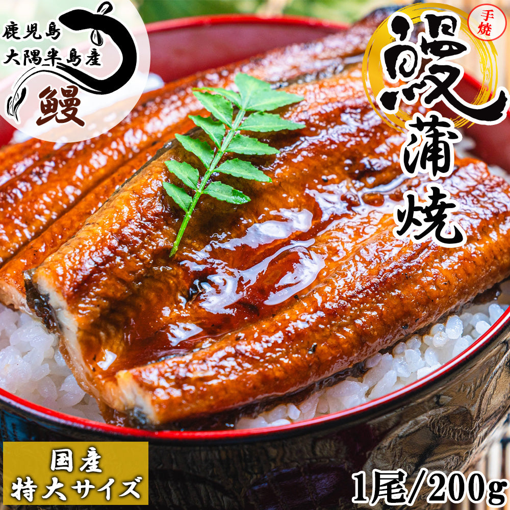 備長炭手焼き うなぎ蒲焼 鹿児島大隅半島産 (タレ付き)