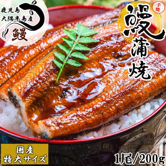 備長炭手焼き うなぎ蒲焼 鹿児島大隅半島産 (タレ付き)
