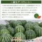 【予約7/2より順次出荷】羅皇ザ・スウィート（秀品）3Lサイズ/1玉 ※8～9.5kg JAおおいた 日田産 RTD-rf0031