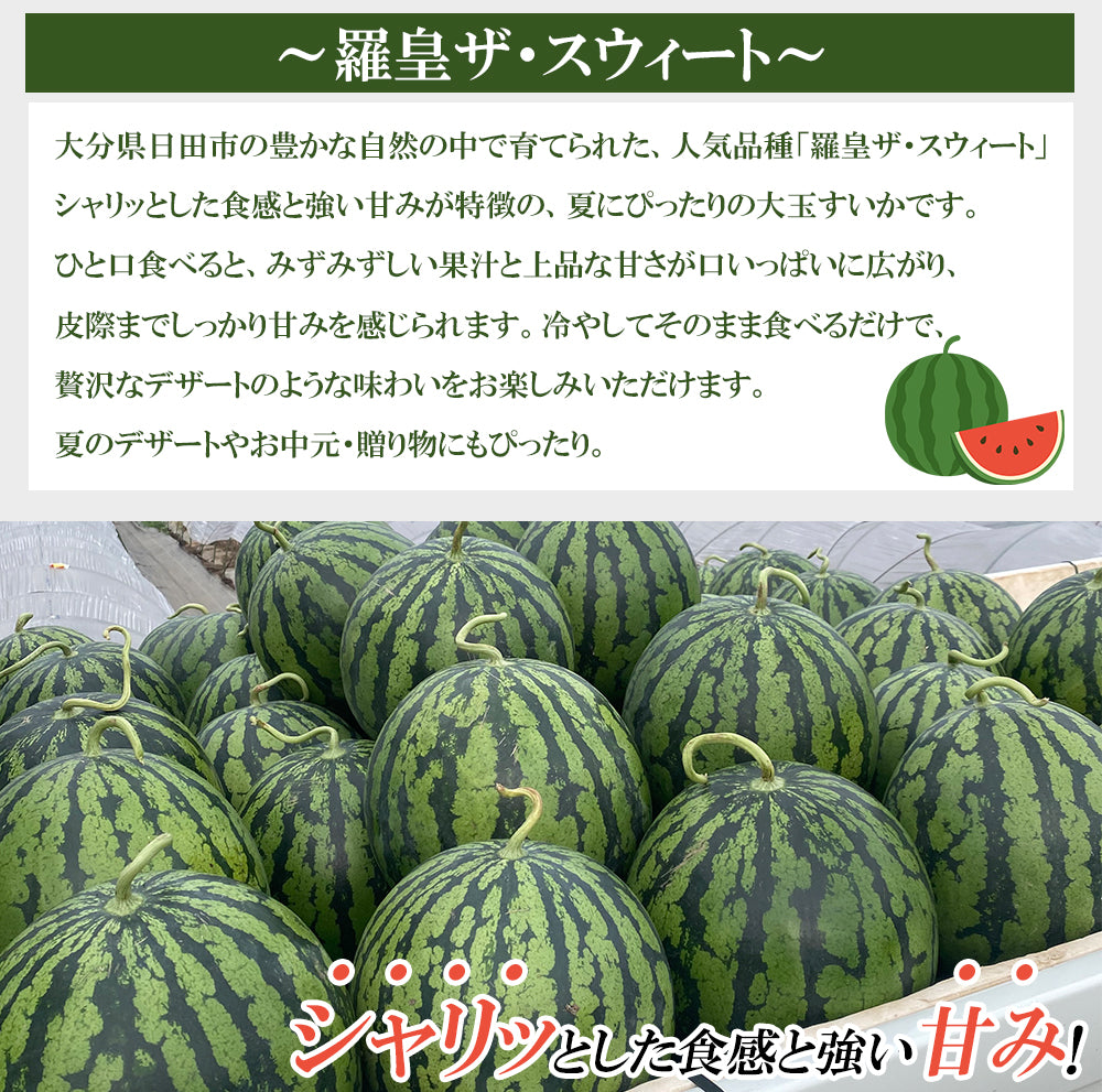 【予約7/2より順次出荷】羅皇ザ・スウィート（秀品）3Lサイズ/1玉 ※8～9.5kg JAおおいた 日田産 RTD-rf0031