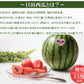 【予約7/2より順次出荷】羅皇ザ・スウィート（秀品）3Lサイズ/1玉 ※8～9.5kg JAおおいた 日田産 RTD-rf0031