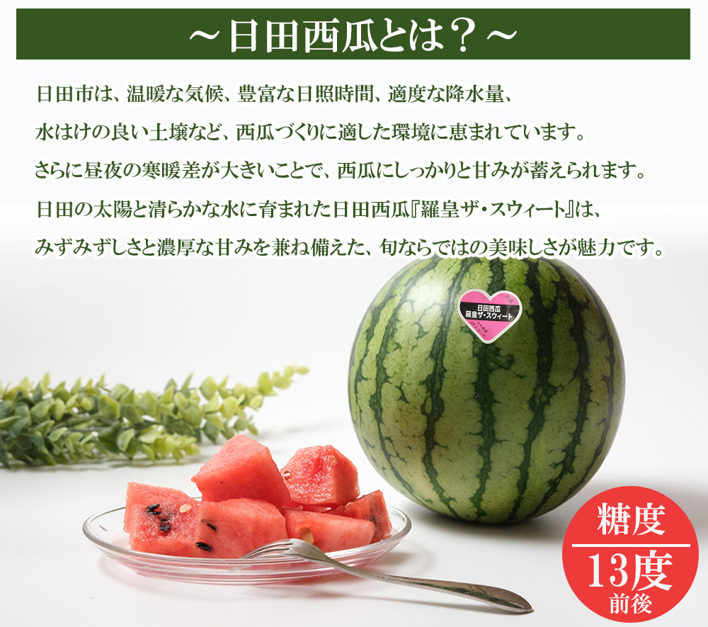 【予約7/2より順次出荷】羅皇ザ・スウィート（秀品）3Lサイズ/1玉 ※8～9.5kg JAおおいた 日田産 RTD-rf0031