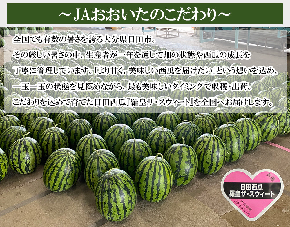 【予約7/2より順次出荷】羅皇ザ・スウィート（秀品）3Lサイズ/1玉 ※8～9.5kg JAおおいた 日田産 RTD-rf0031