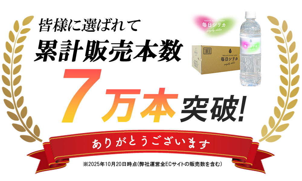 シリカ水 「毎日シリカ」525ml×40本入り 大分県産【期間限定200円OFF】