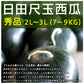 日田尺玉西瓜 うわさの黒スイカ 大玉 秀品 2L～3L（約7～9kg）